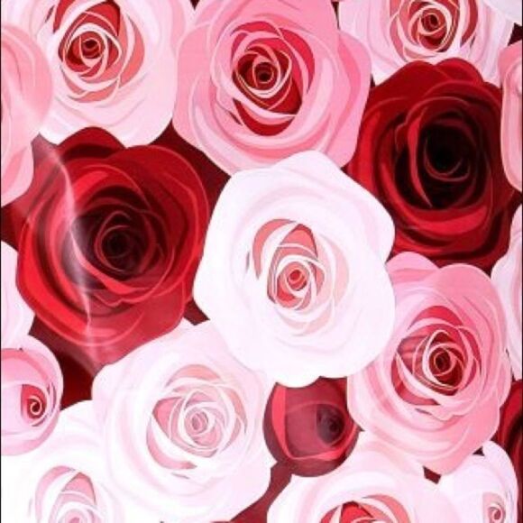 ❗️Restocked❗️20- 10x13 ROSES Floral Design Poly Mailers - Picture 5 of 5